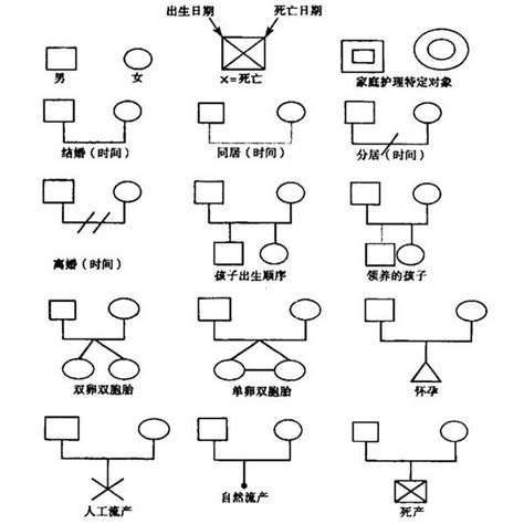 家庭關係圖畫法|1分钟教你画家庭关系图 